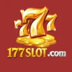 177 Slot Game