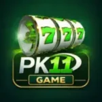 PK11 Game