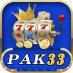 Pak33 Game